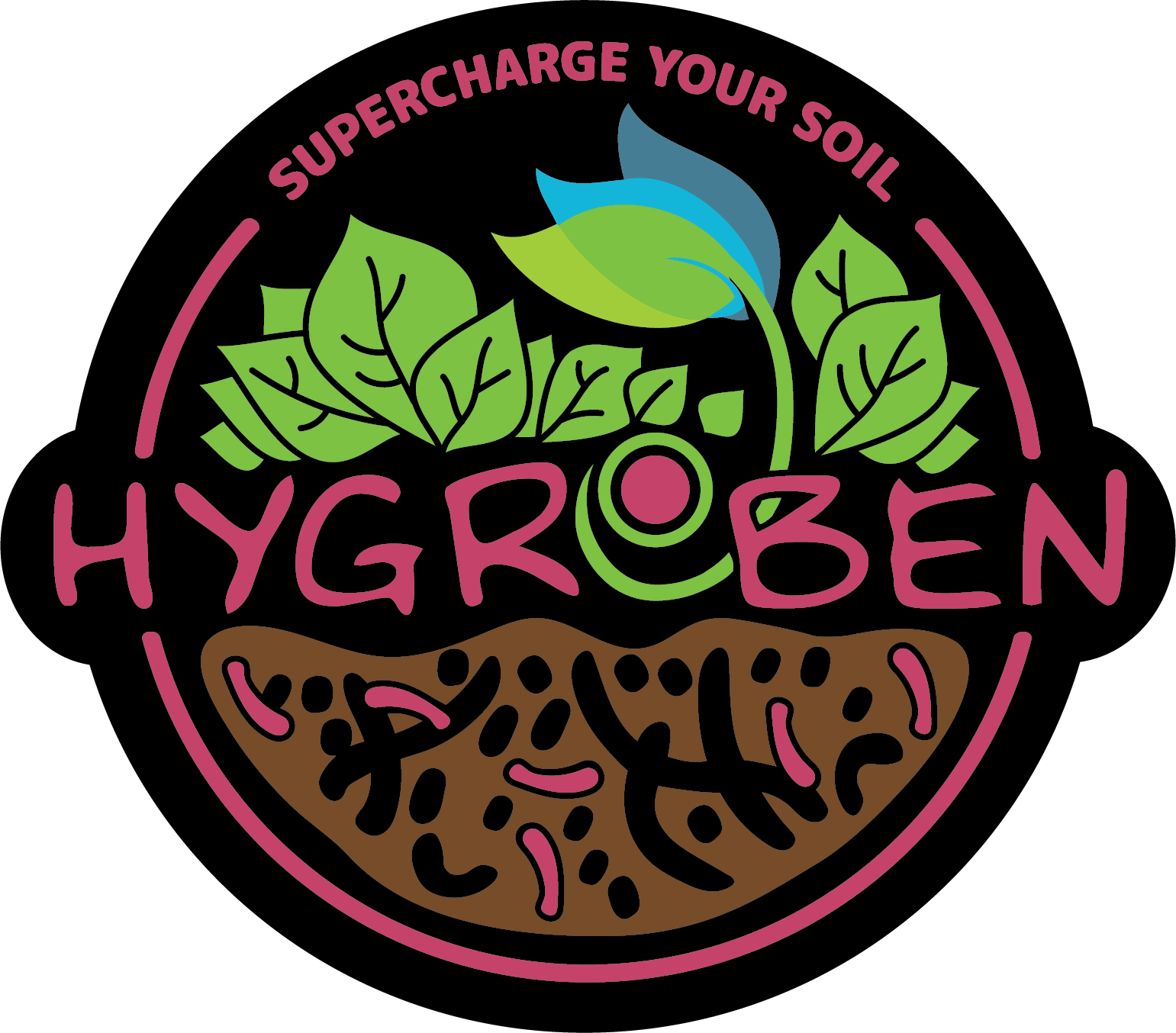 https://hygrozyme.com/wp-content/uploads/2022/11/HYGROBEN_logo_1.png