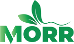 Morr Logo